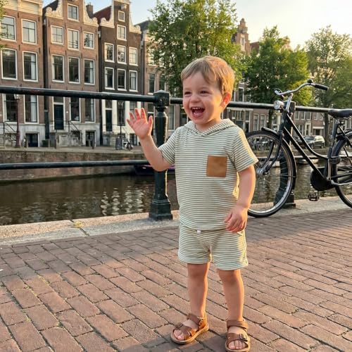 Toddler Baby Boy Hooded Dinosaur Summer Outfit Funny T-Shirt Shorts Set - Image 5