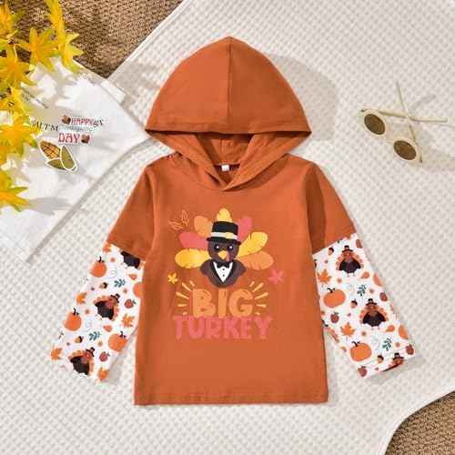 Aalizzwell Toddler Infant Baby Boys Hoodie Sweatshirt Pants Outfits Spring - Image 2