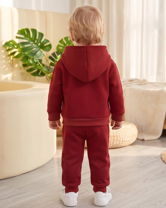 Toddler Baby Boy Fall Clothes Long Sleeve Hoodie Sweatshirts Pants Set Infant - Image 4