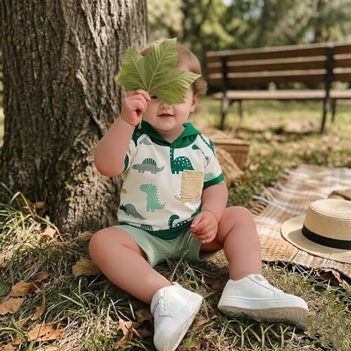 Toddler Baby Boy Hooded Dinosaur Summer Outfit Funny T-Shirt Shorts Set - Image 3