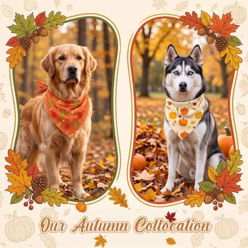 50 Pcs Fall Dog Bandanas Bulk Autumn Pumpkin Maple Leaves Pattern - Image 6