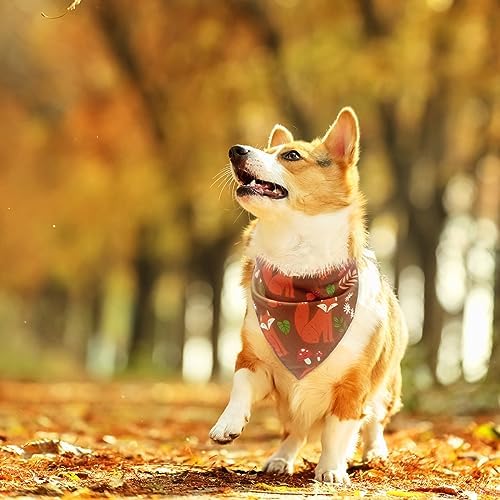 EXPAWLORER Fall Dog Bandana Set - Image 6