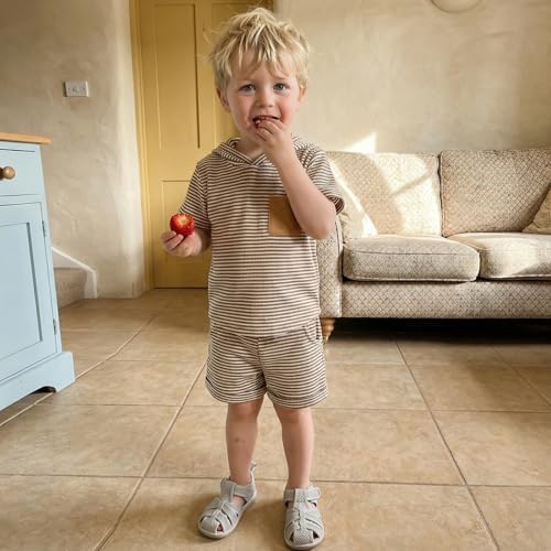 Toddler Baby Boy Hooded Dinosaur Summer Outfit Funny T-Shirt Shorts Set - Image 6
