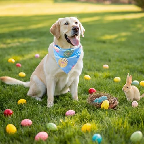 EXPAWLORER Easter Dog Bandana 4 Pack - Image 7
