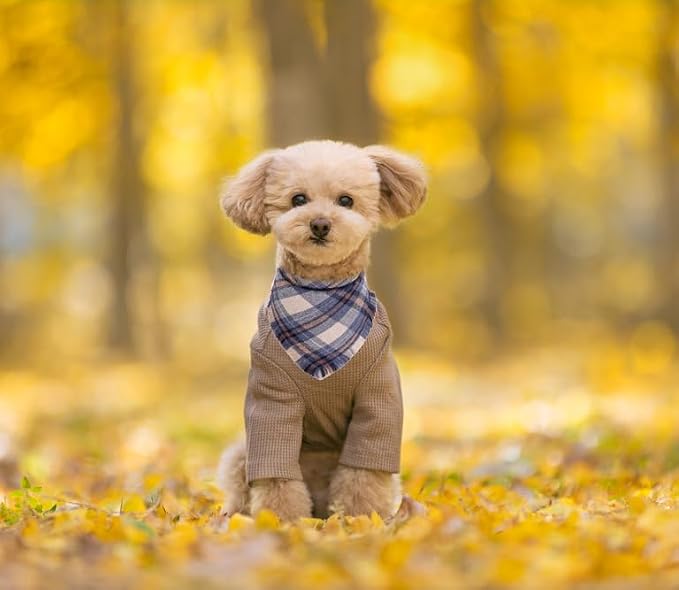 Fall Dog Bandana Autumn Thanksgiving Plaid Reversible Triangle Bibs Scarf - Image 4