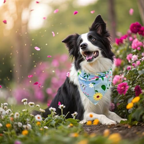 EXPAWLORER Spring Dog Bandanas 4 Pack - Image 7