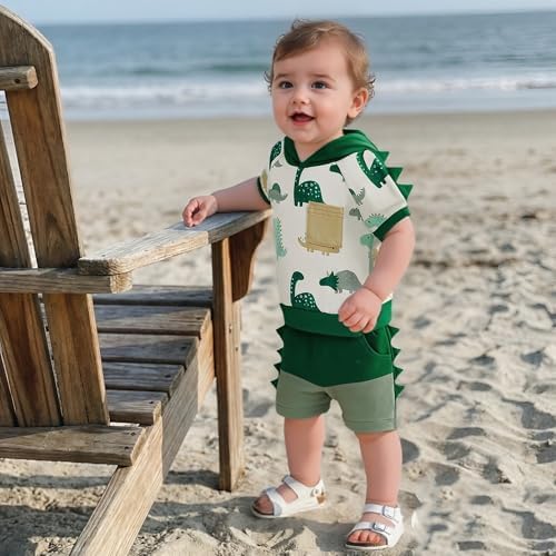 Toddler Baby Boy Hooded Dinosaur Summer Outfit Funny T-Shirt Shorts Set - Image 4