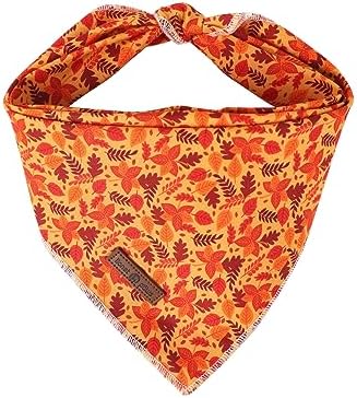 Lionet Paws Fall Dog Bandana for Small Medium Large Dogs, Cat Dog Kerchief by lionetpaws