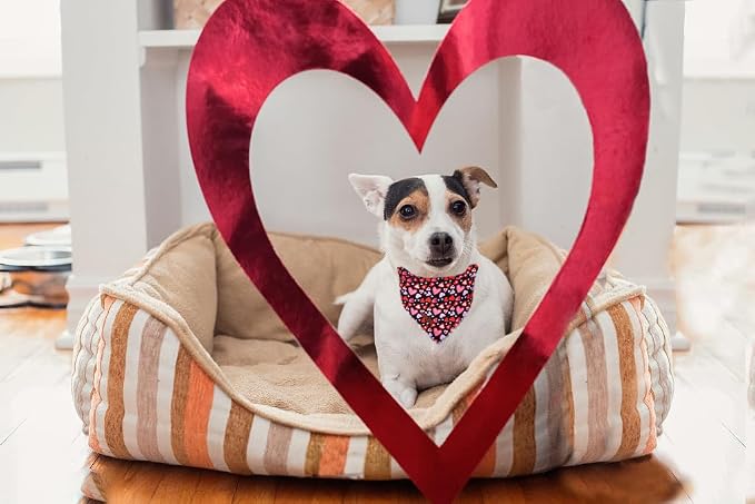 Lionet Paws Valentine Dog Bandana - Image 2
