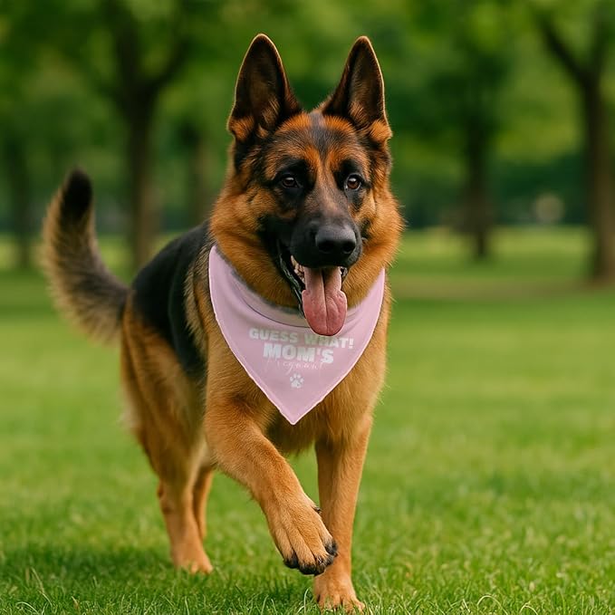 Guess What Moms Pregnant Dog Bandana, Adjustable Cotton Pet Scarf, Cute - Image 4