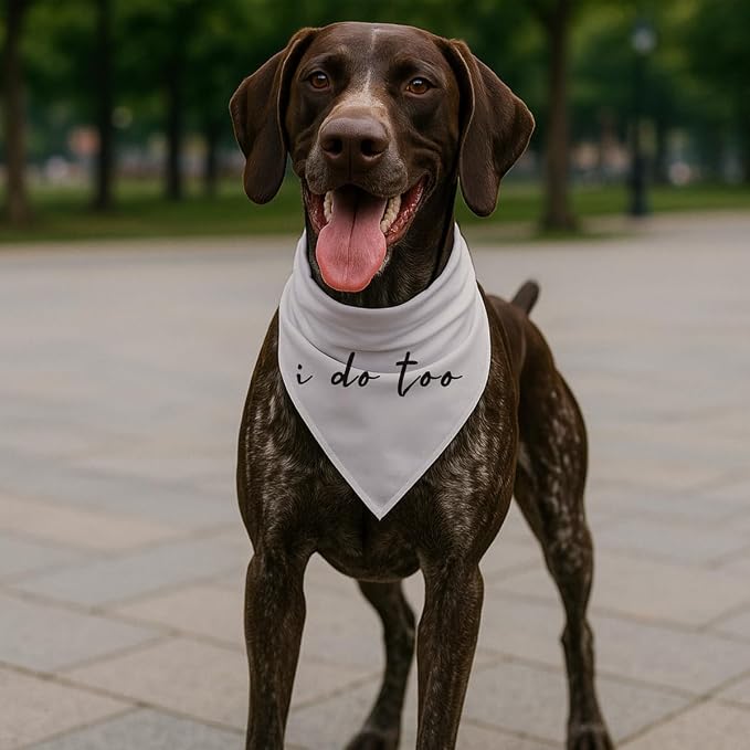 Wedding Dog Bandana, I Do Too Adjustable Triangle Pet Scarf, Elegant Beige Dog - Image 5