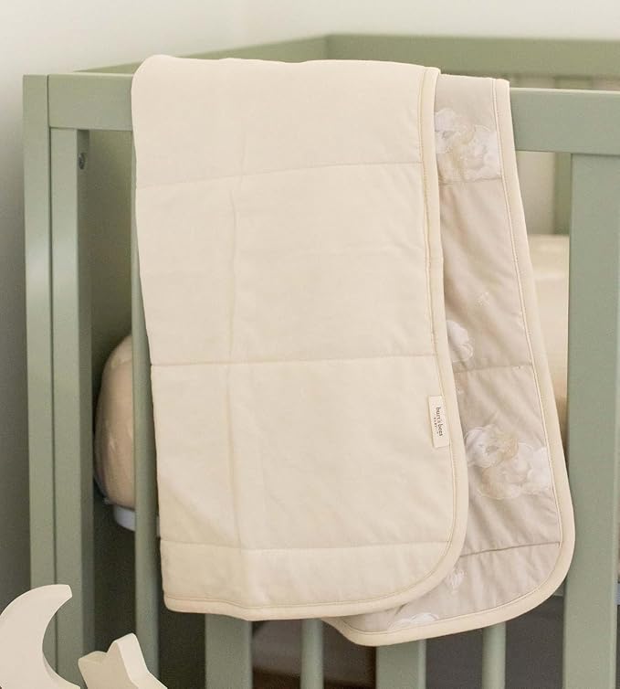 Burt's Bees Baby Organic Cotton Infant Reversible Blanket, Nursery Bedding | - Image 3