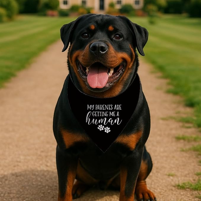 Pregnancy Announcement Dog Bandana, Cute Pregnancy Announcement Outfit - Image 3