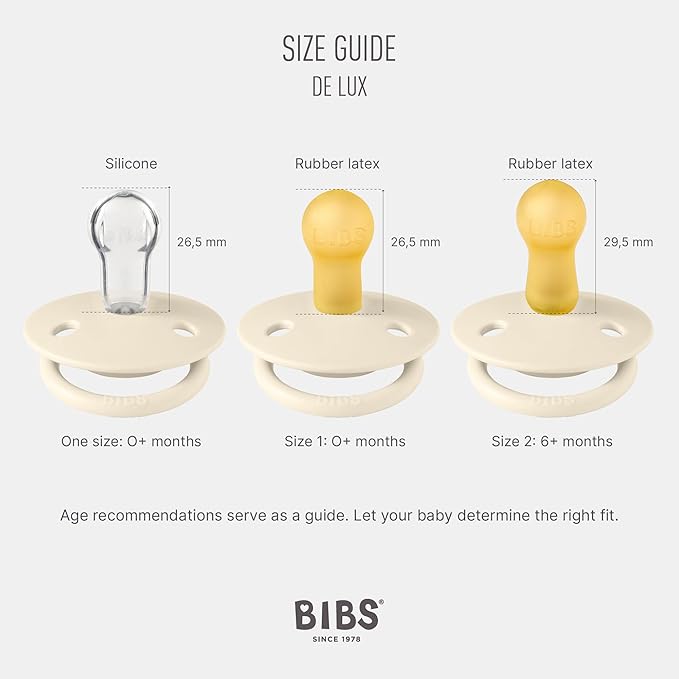 BIBS Pacifiers - De Lux Collection | BPA-Free Baby Pacifier | Made in Denmark | Set of 2 Iron/Baby Blue Color Premium Soothers | Size One Size