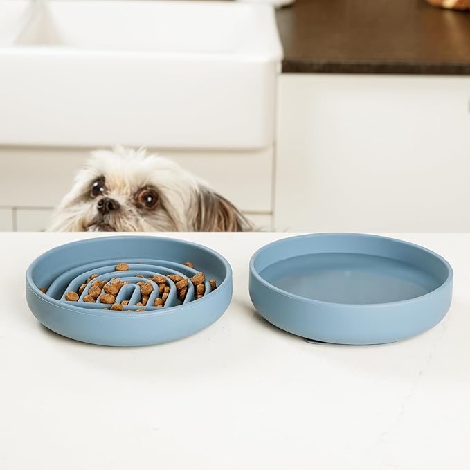 Should We Go? Slow Feeder for Dogs & Cats, The Slowdown Bowl Silicone Slow Eating Mealtime Solution with Modern Lick Mat Design, Reduces Gulping, Fits 1 Cup, 6” Across x 1.25” Tall, Small-Tan