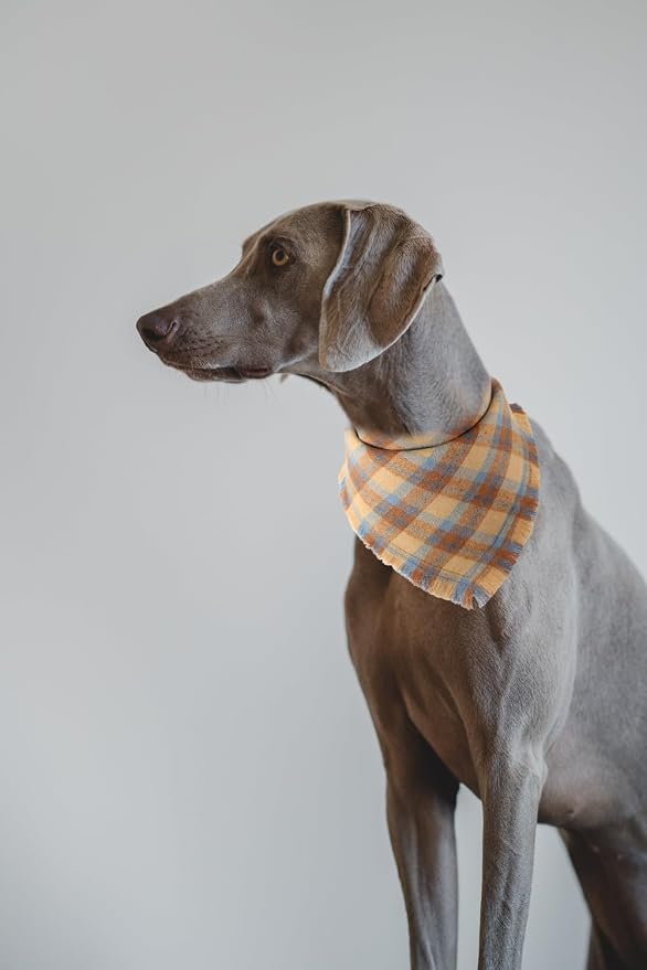 Fall Dog Bandana Autumn Thanksgiving Plaid Reversible Triangle Bibs Scarf - Image 5