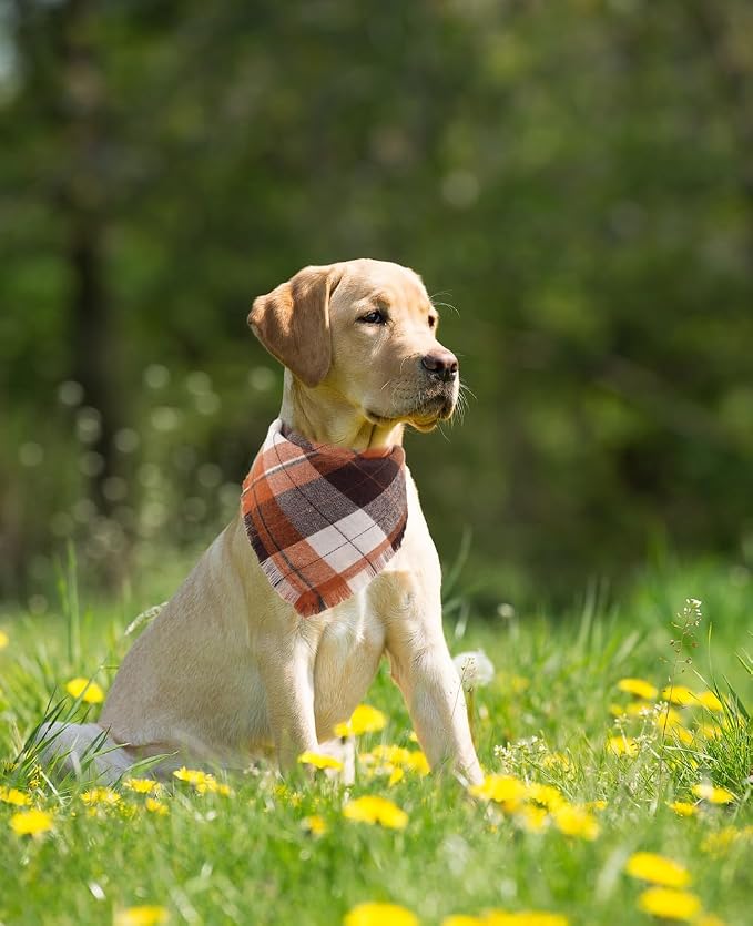Fall Dog Bandana Autumn Thanksgiving Plaid Reversible Triangle Bibs Scarf - Image 5