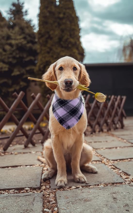 Halloween Dog Bandana Fall Autumn Plaid Reversible Triangle Bibs Scarf - Image 4