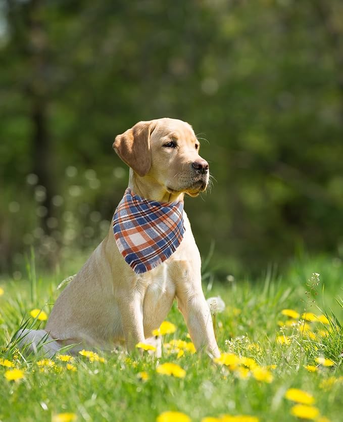 Fall Dog Bandana Autumn Thanksgiving Plaid Reversible Triangle Bibs Scarf - Image 4