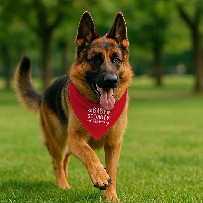 Baby Security in Training Dog Bandana, Dogs Pregnancy Announcement Bandana - Image 4