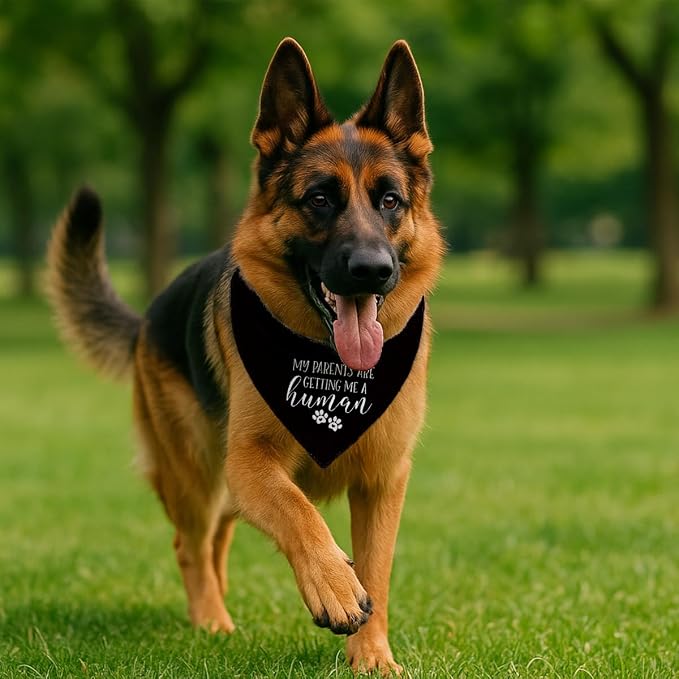 Pregnancy Announcement Dog Bandana, Cute Pregnancy Announcement Outfit - Image 4