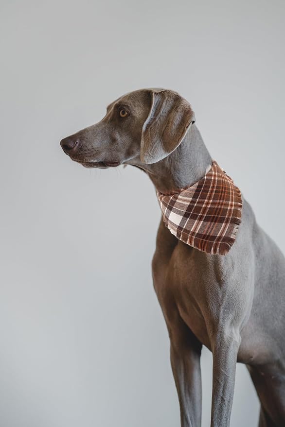 Fall Dog Bandana Autumn Thanksgiving Plaid Reversible Triangle Bibs Scarf - Image 5