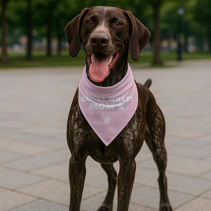 Guess What Moms Pregnant Dog Bandana, Adjustable Cotton Pet Scarf, Cute - Image 5