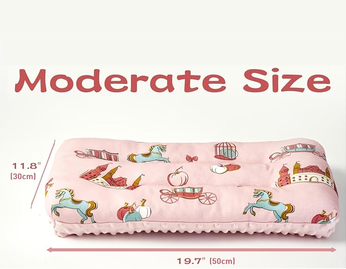 Reidio 1Pcs Toddler Pillow Double Sided Breathable Soft Cotton & Minky Dot Fabric Kids Pillow Cute Small Pillow Machine Washable (Blue)