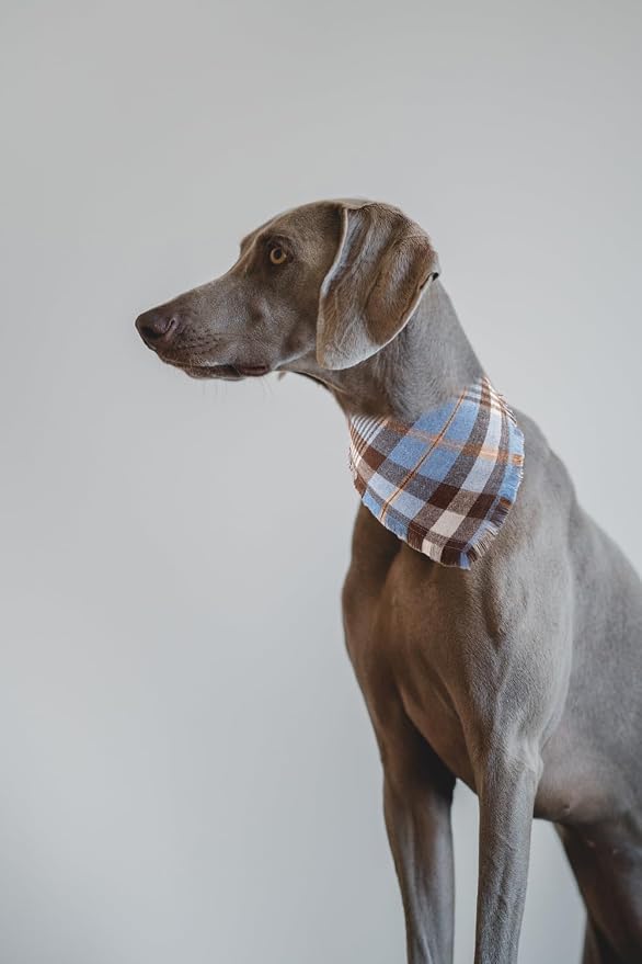 Fall Dog Bandana Autumn Thanksgiving Plaid Reversible Triangle Bibs Scarf - Image 5