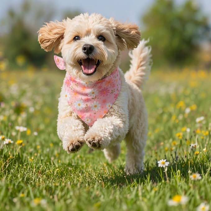 Spring Dog Bandana, Summer Dog Bandanas Boy Girl, Daisy Dog Scarf - Image 6