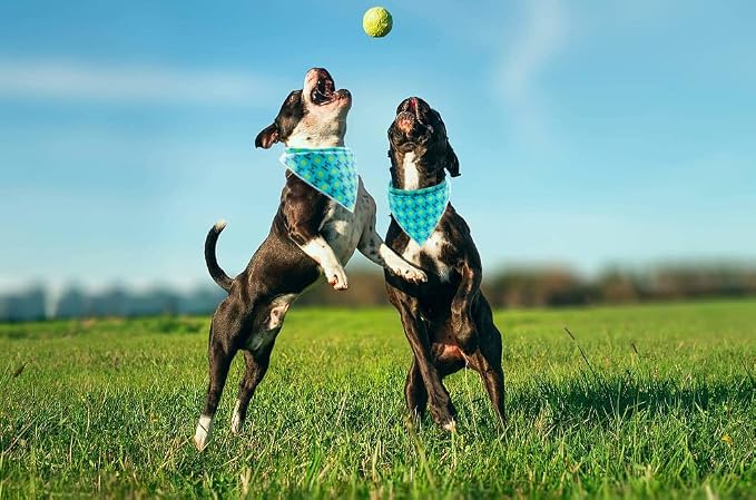 Lionet Paws Dog Bandana, Fabric Ball Dogs Kerchief - Image 5