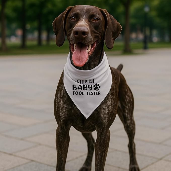 Official Food Tester Dog Bandana, Funny Pregnancy Announcement Pet Scarf - Image 5