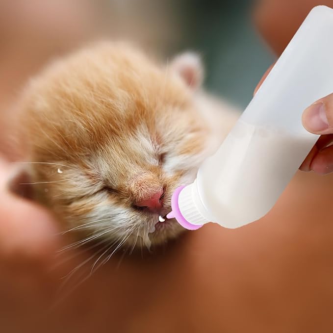 5Pack Kitten Bottle for Nursing Puppy Milk Kitten Bottles Feeding Kit Silicone Nipple for Newborn Pets Kittens, Puppy,Squirrel (Pink)