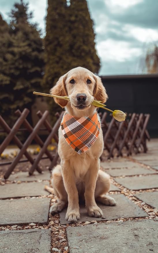 Fall Dog Bandana Autumn Thanksgiving Plaid Reversible Triangle Bibs Scarf - Image 4