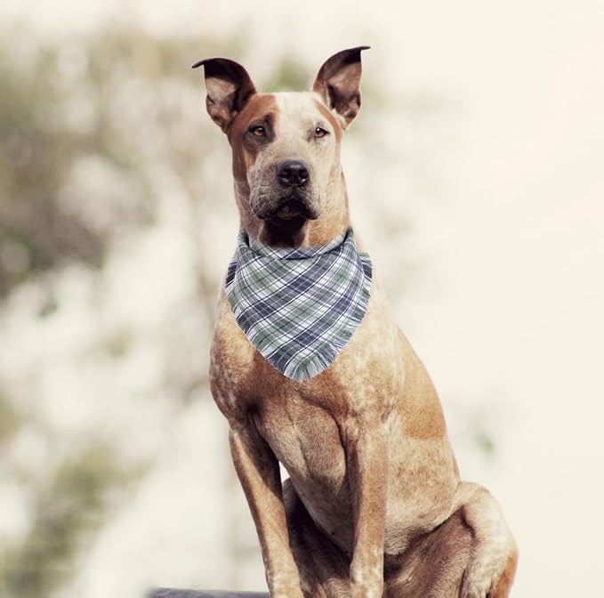 Fall Dog Bandana Autumn Thanksgiving Plaid Reversible Triangle Bibs Scarf - Image 5