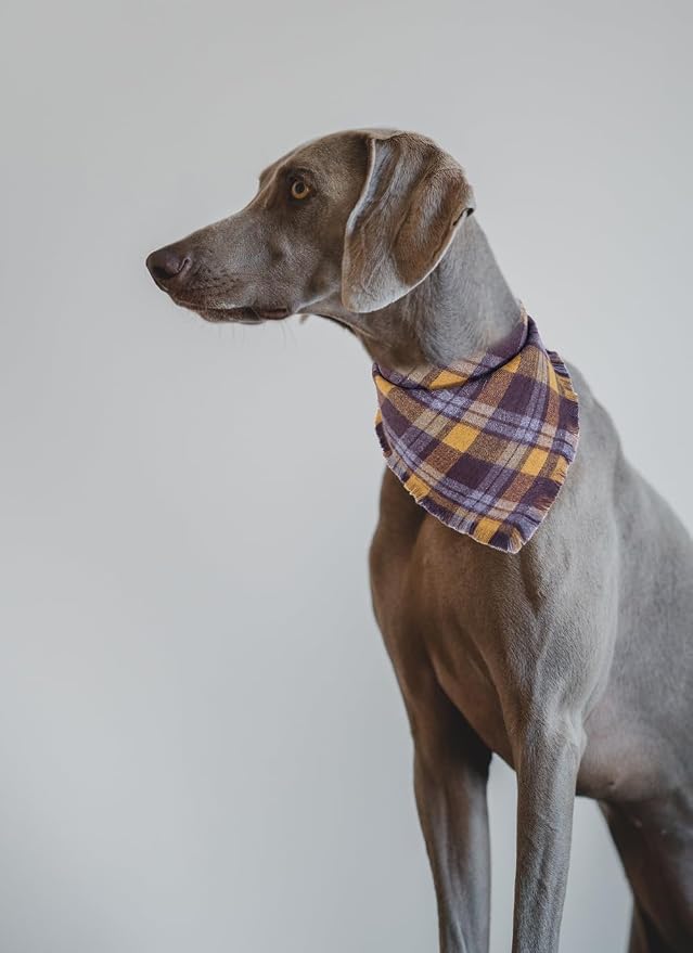 Fall Dog Bandana Autumn Thanksgiving Plaid Reversible Triangle Bibs Scarf - Image 4