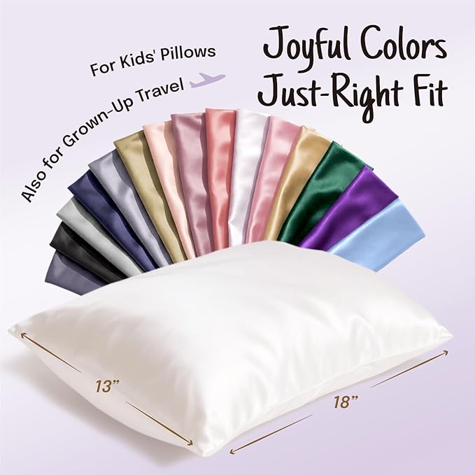 OLESILK 100% Mulberry Silk Toddler Pillowcase for Hair and Skin, Both Sides 19 Momme Pure Natural Silk Travel Pillow Cases with Hidden Zipper, 13"x 18", Charcoal