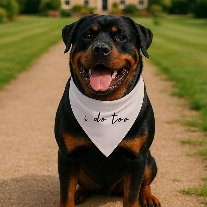 Wedding Dog Bandana, I Do Too Adjustable Triangle Pet Scarf, Elegant Beige Dog - Image 3