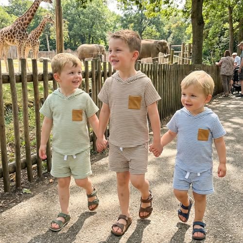 Toddler Baby Boy Hooded Dinosaur Summer Outfit Funny T-Shirt Shorts Set - Image 4