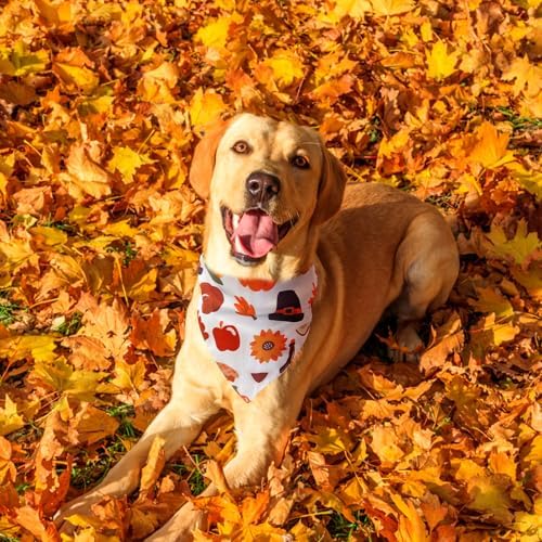EXPAWLORER Fall Dog Bandana Set - Image 6
