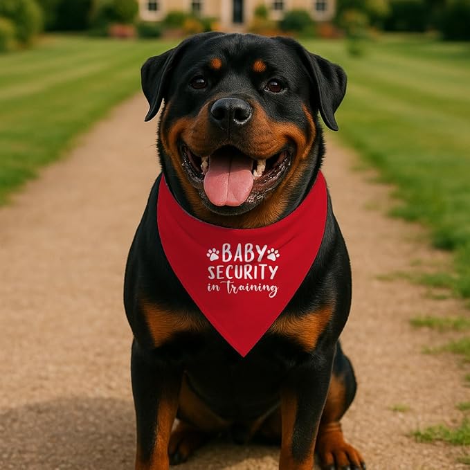 Baby Security in Training Dog Bandana, Dogs Pregnancy Announcement Bandana - Image 3