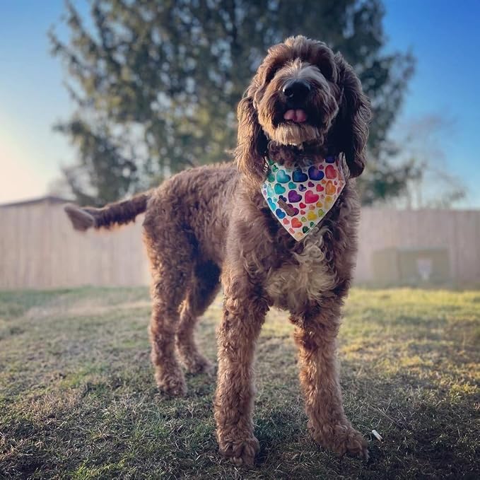 Lionet Paws Valentine's Dog Bandana, Fabric Love Dogs Kerchief - Image 2