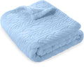 BORITAR 3D Fleece Baby Blanket for Boys 30 x 40 Inch Baby Blue | Soft Fluffy by BORITAR