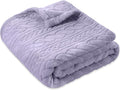 BORITAR 3D Fleece Baby Blanket for Girls 30 x 40 Inch Purple | Soft Fluffy by BORITAR