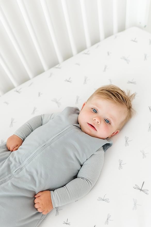 Ely's & Co. Winter Sleep Sack, Wearable Blanket with Soft Quilting, Transitional Swaddle for Baby Boy/Girl, 1.0 TOG