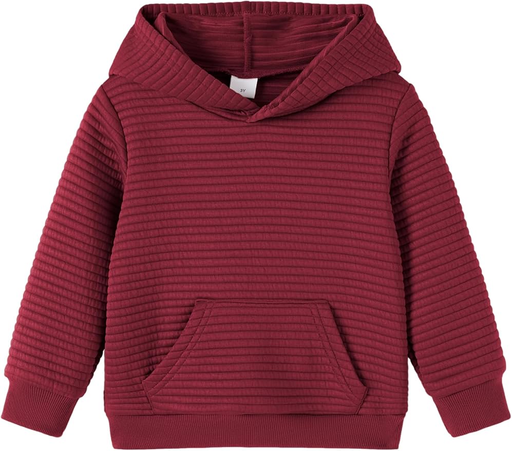 PATPAT Toddler Boy Long Sleeve Hoodie by PATPAT