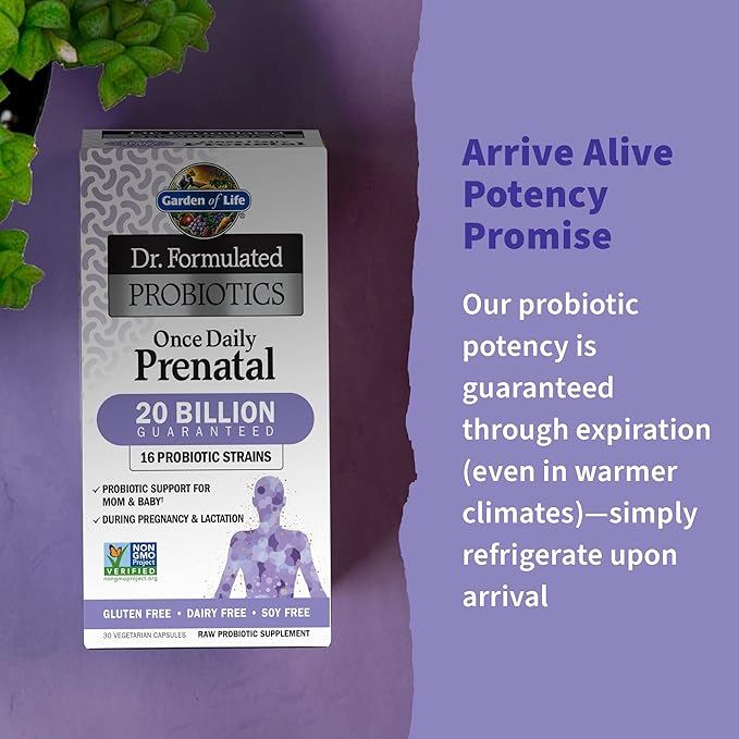 Garden of Life Dr. Formulated Probiotics Once Daily Prenatal - Acidophilus & Bifidobacteria Probiotic Support for Mom & Baby - Gluten, Dairy & Soy Free - 30 Count Vegetarian Capsules