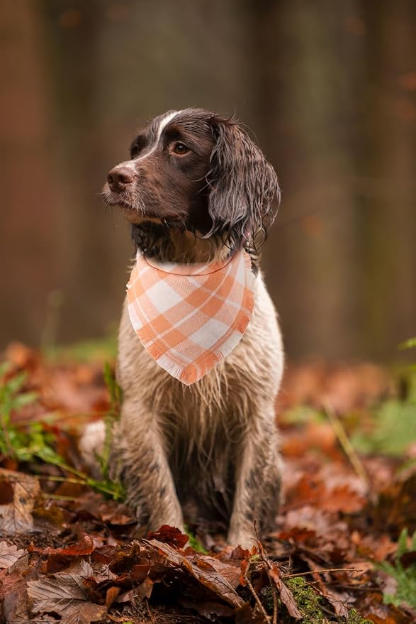 Fall Dog Bandana Autumn Thanksgiving Plaid Reversible Triangle Bibs Scarf - Image 5
