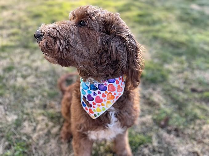 Lionet Paws Valentine's Dog Bandana, Fabric Love Dogs Kerchief - Image 3