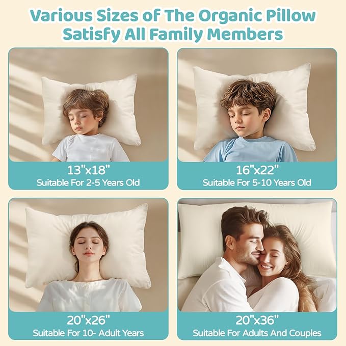 LOFE Organic Pillow with Pillowcase - 20x26 Youth Pillow with 100% Organic Cotton Shell, Adjustable Loft Organic Standard Plilow, Machine Washable, Soft, Perfect for Youth&Adults